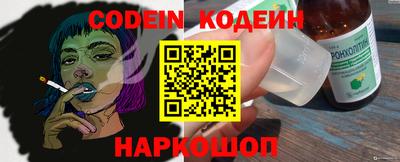 крисы Моздок