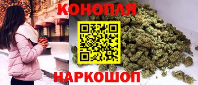 крисы Моздок