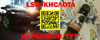 крисы Моздок
