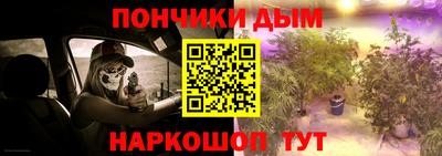 крисы Моздок