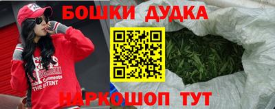 крисы Моздок