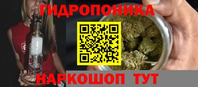 дурь Можга
