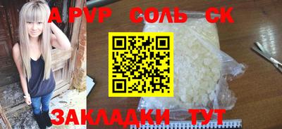 крисы Моздок
