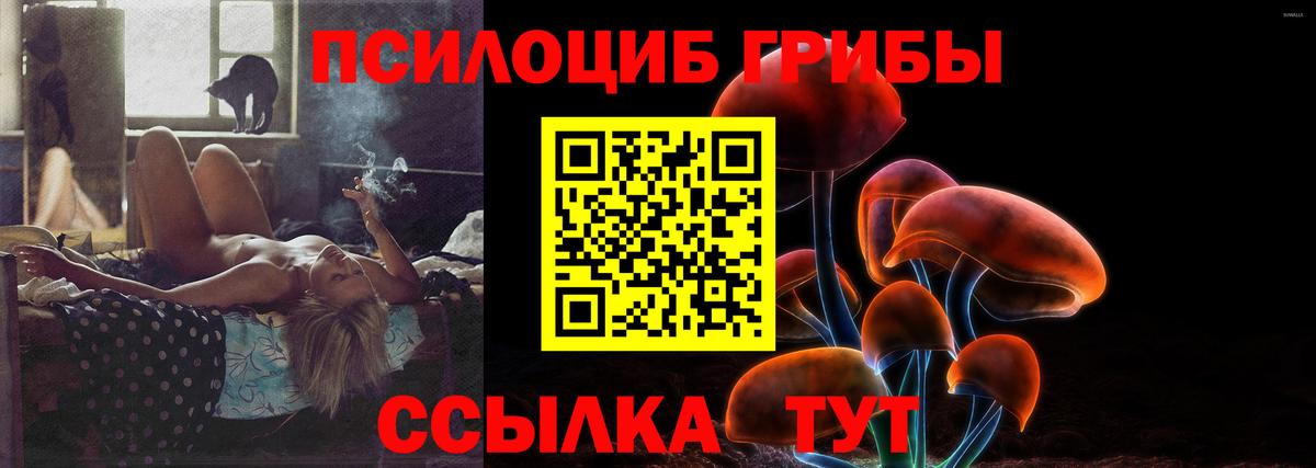 Чернушка  Галлюциногенные грибы ЛСД  Галлюциногенные грибы MAGIC MUSHROOMS  Вход с VPN 